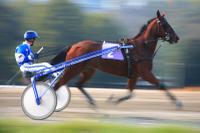 Horse Racing / Praha Chuchle 2